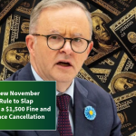 Australia’s New November 2025 Traffic Rule to Slap Drivers With a $1,500 Fine and Instant Licence Cancellation