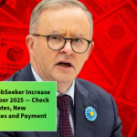 Centrelink JobSeeker Increase From November 2025 — Check the Higher Rates, New Eligibility Rules and Payment Dates